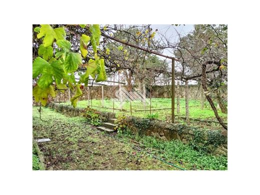 Casa de luxo - Vila do Conde, Porto