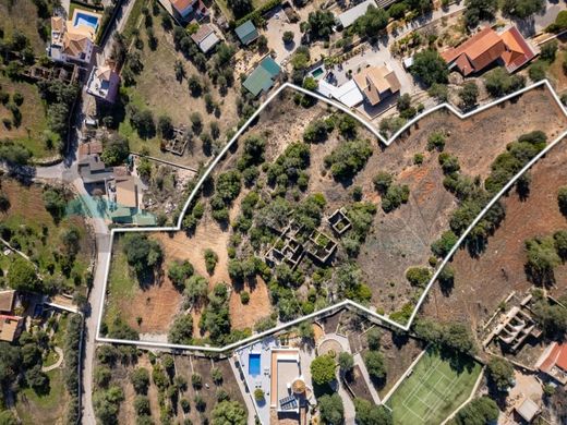 Участок, Фару, Faro