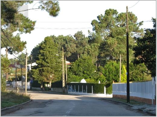 단독 저택 / Seixal, Distrito de Setúbal