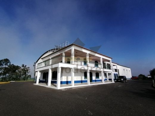 Ferme à Castro Verde, Distrito de Beja