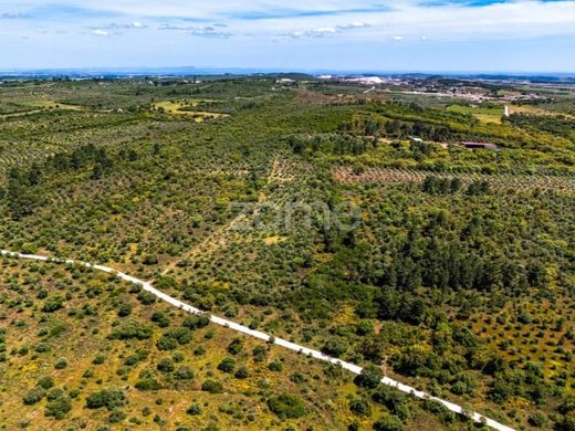 Land in Borba, Distrito de Évora