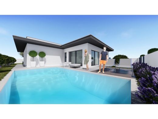 Alcobaça, Distrito de Leiriaの一戸建て住宅