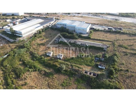 Αγροτεμάχιο σε Mafra, Distrito de Lisboa