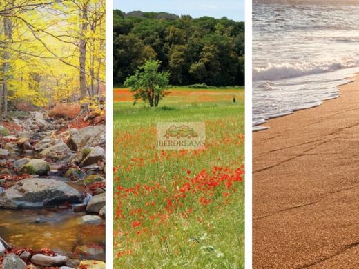 Appartement à Sant Andreu de Llavaneres, Province de Barcelone