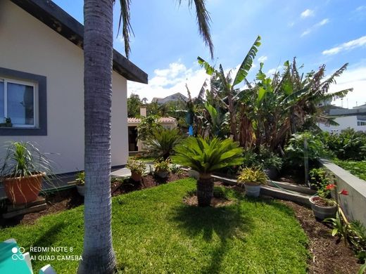 Maison de luxe à Calheta, Madère