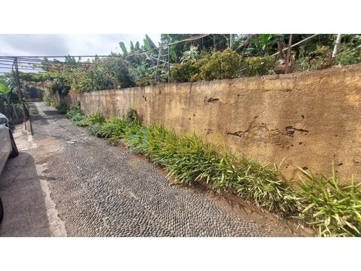 Αγροτεμάχιο σε Φουντσάλ, Funchal