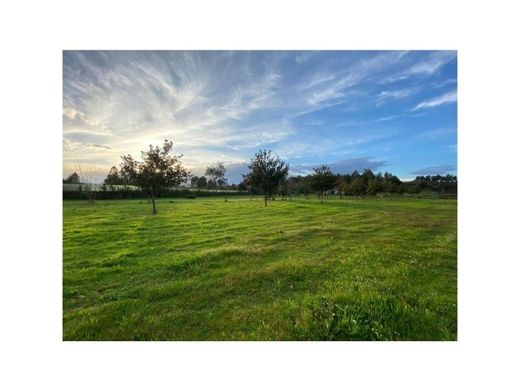 ‏קרקע ב  Barcelos, Distrito de Braga