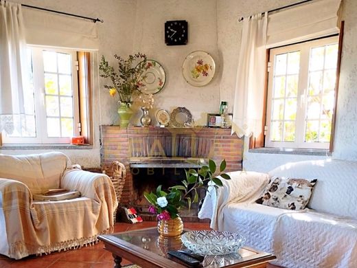 Luksusowy dom w Viseu, Distrito de Viseu