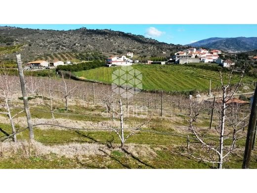 Rustykalny lub Wiejski w Vila Flor, Miranda do Corvo