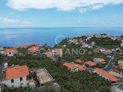 Ponta do Sol, Madeiraのヴィラ