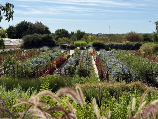 Rustykalny lub Wiejski w Tavira, Distrito de Faro