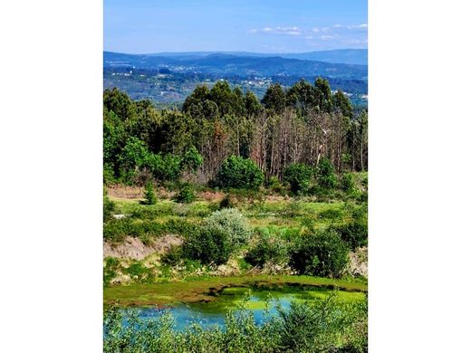 地皮  Viseu, Distrito de Viseu