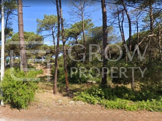 토지 / Loulé, Distrito de Faro