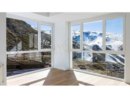 Apartment / Etagenwohnung in Sierra Nevada, Granada