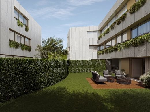 Daire Porto, Distrito do Porto