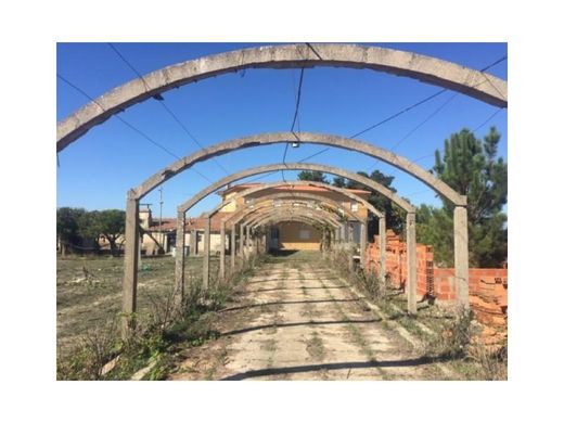 地皮  Santiago do Cacém, Distrito de Setúbal