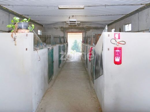 Maison de luxe à Santarém, Distrito de Santarém