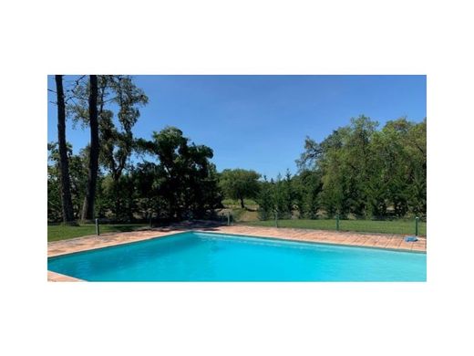 Luxury home in Santarém, Distrito de Santarém