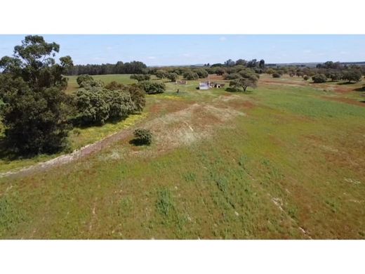 أرض ﻓﻲ Ferreira do Alentejo, Distrito de Beja