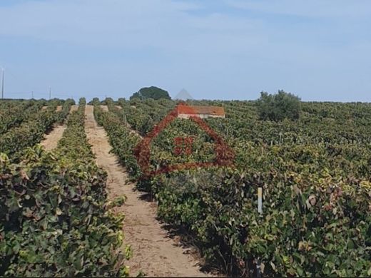Αγροτεμάχιο σε Palmela, Distrito de Setúbal
