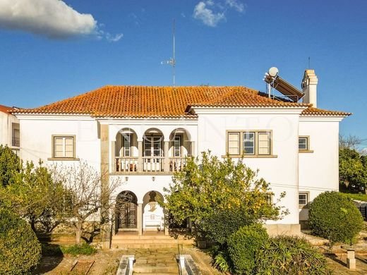 Luxe woning in Montemor-o-Novo, Montemor-O-Novo