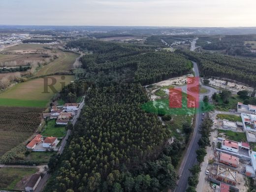 Grundstück in Rio Maior, Distrito de Santarém