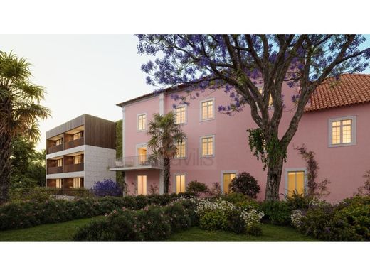 Daire Porto, Distrito do Porto