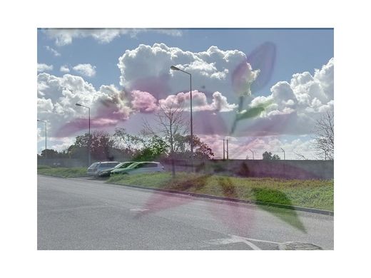 Grundstück in Montijo, Distrito de Setúbal