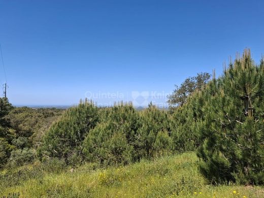 أرض ﻓﻲ Grândola, Distrito de Setúbal