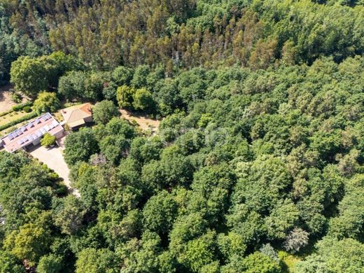 Luxury home in Santa Comba Dão, Distrito de Viseu