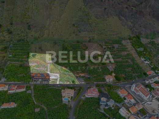 Terreno - Calheta, Madeira