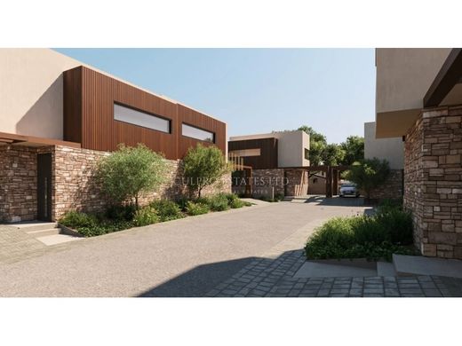 Вилла, Ларнака, Eparchía Lárnakas