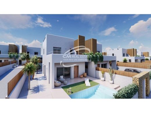 Villa in Pilar de la Horadada, Alicante