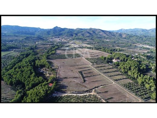 Terreno en Vilanova de Escornalbou, Provincia de Tarragona