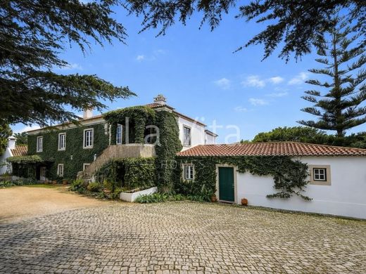 Apartment in Sintra, Lisbon