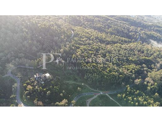 Casa de luxo - Guimarães, Braga