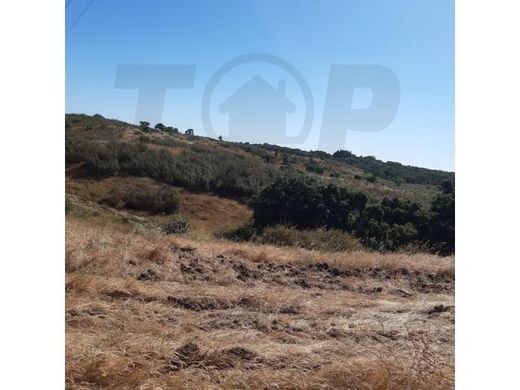 Farm in Santiago do Cacém, Distrito de Setúbal