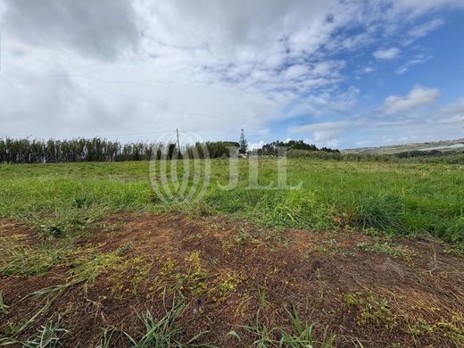 Land in Torres Vedras, Lisbon