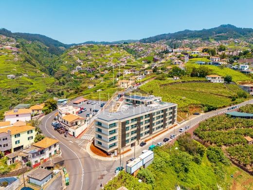 Câmara de Lobos, Madeiraのアパートメント