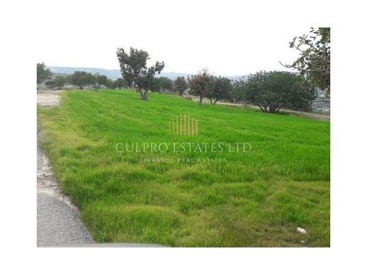 Arsa Larnaka, Eparchía Lárnakas