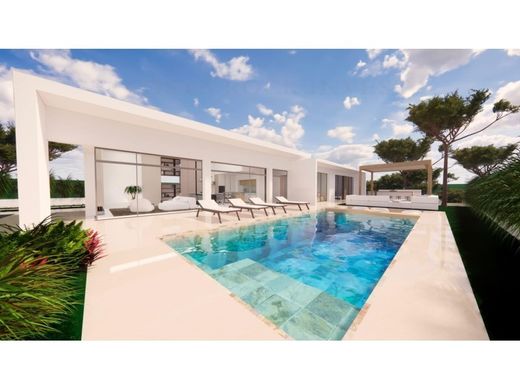 Villa in Pilar de la Horadada, Provincia de Alicante