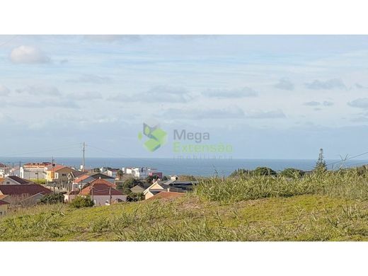 Teren w Torres Vedras, Distrito de Lisboa