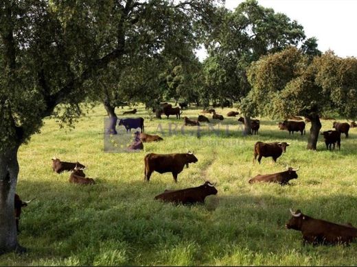 Landhaus / Bauernhof in Trujillo, Cáceres