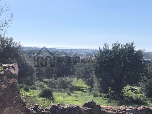 ローレ, Louléの土地