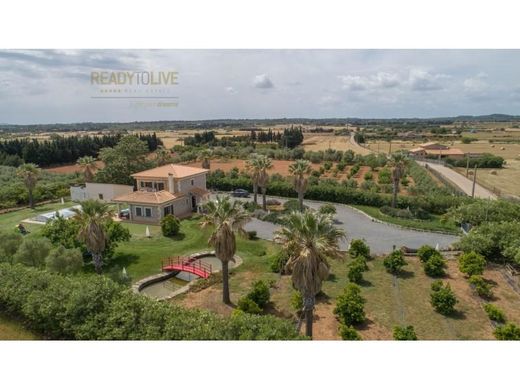 Rural or Farmhouse in Muro, Province of Balearic Islands