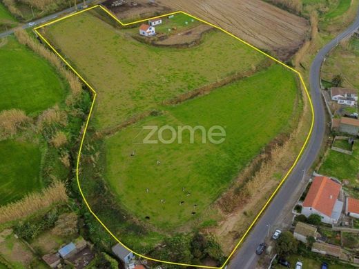 地皮  Ponta Delgada, Azores