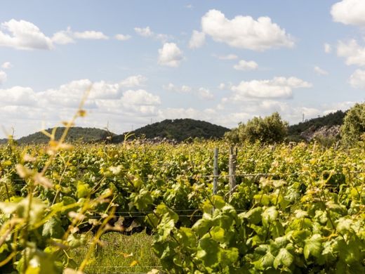 Rural or Farmhouse in Estremoz, Distrito de Évora