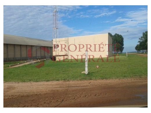 Ferme à Itiquira, Estado de Mato Grosso