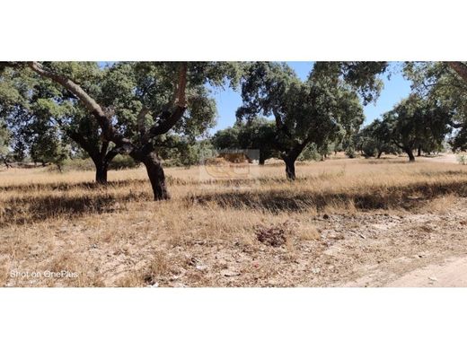 Land in Grândola, Distrito de Setúbal