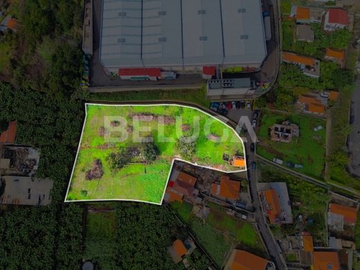 토지 / Funchal, Madeira